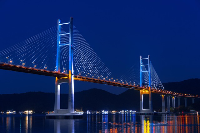 Bridge infrastructure served by Hevea elastomeric bearings